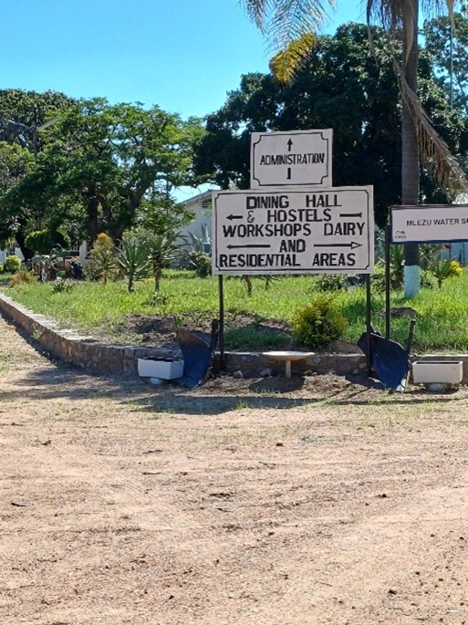 Mlezu College of Agriculture