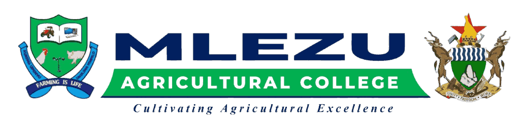 Mlezu-College-logo (3)